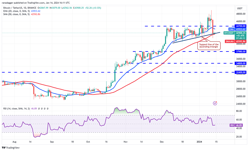 ارز دیجیتال بیت کوین (BTC)